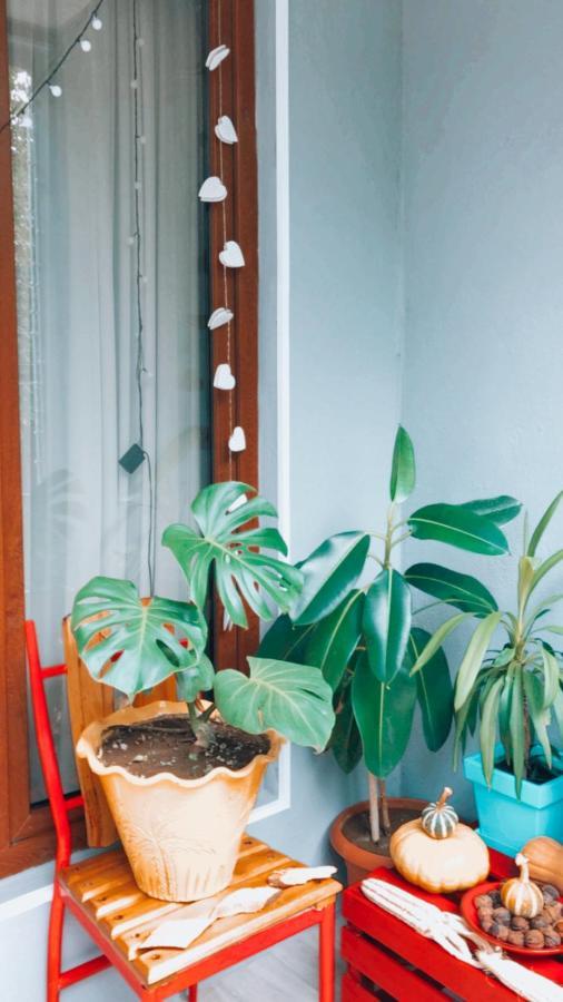 Sweet Apartment In Kutaisi Ngoại thất bức ảnh
